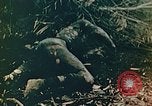 Image of U.S. marines in battle of Saipan Saipan Northern Mariana Islands, 1944, second 37 stock footage video 65675028047