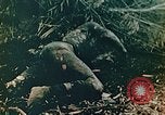 Image of U.S. marines in battle of Saipan Saipan Northern Mariana Islands, 1944, second 38 stock footage video 65675028047