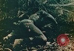 Image of U.S. marines in battle of Saipan Saipan Northern Mariana Islands, 1944, second 39 stock footage video 65675028047