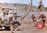 Image of Evacuating a wounded U.S. marine Saipan Northern Mariana Islands, 1944, second 7 stock footage video 65675028049