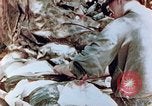 Immagine di Marine ferito Saipan Isole Marianne Settentrionali, 1944, secondo 3 filmato di repertorio 65675028050