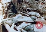 Immagine di Marine ferito Saipan Isole Marianne Settentrionali, 1944, secondo 6 filmato di repertorio 65675028050