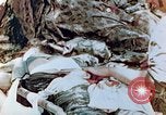 Immagine di Marine ferito Saipan Isole Marianne Settentrionali, 1944, secondo 10 filmato di repertorio 65675028050
