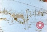 Image of Battlefield burial of dead Saipan Northern Mariana Islands, 1944, second 1 stock footage video 65675028051