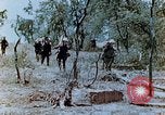 Image of U.S. marines set up camouflaged artillery  Saipan Northern Mariana Islands, 1944, second 5 stock footage video 65675028054