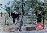 Image of U.S. marines set up camouflaged artillery  Saipan Northern Mariana Islands, 1944, second 7 stock footage video 65675028054