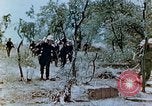 Image of U.S. marines set up camouflaged artillery  Saipan Northern Mariana Islands, 1944, second 8 stock footage video 65675028054