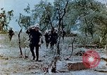Image of U.S. marines set up camouflaged artillery  Saipan Northern Mariana Islands, 1944, second 9 stock footage video 65675028054