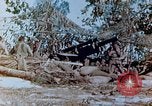 Image of U.S. Marine Brigadier General  Merritt Edison Saipan Northern Mariana Islands, 1944, second 41 stock footage video 65675028055