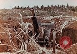 Image of Wrecked Japanese artillery pieces Saipan Northern Mariana Islands, 1944, second 10 stock footage video 65675028056