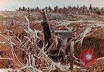 Image of Wrecked Japanese artillery pieces Saipan Northern Mariana Islands, 1944, second 11 stock footage video 65675028056