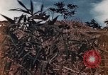 Standbild US Marine wirft Handgranate Saipan Nördliche Marianen, 1944, aus Sekunde 12 historischem Filmmaterial Videoclip 65675028058