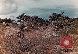 Standbild US Marine wirft Handgranate Saipan Nördliche Marianen, 1944, aus Sekunde 18 historischem Filmmaterial Videoclip 65675028058