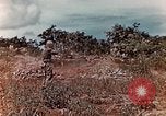 Standbild US Marine wirft Handgranate Saipan Nördliche Marianen, 1944, aus Sekunde 19 historischem Filmmaterial Videoclip 65675028058