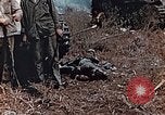 Image of Knocked out Japanese type 95 light tanks Saipan Northern Mariana Islands, 1944, second 13 stock footage video 65675028059