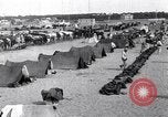 Image camp de cavalerie turque Turquie, 1915, de la seconde 6 séquences d'archives historiques vidéo 65675028064