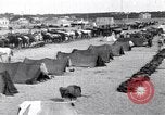 Image camp de cavalerie turque Turquie, 1915, de la seconde 8 séquences d'archives historiques vidéo 65675028064