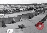 Image camp de cavalerie turque Turquie, 1915, de la seconde 9 séquences d'archives historiques vidéo 65675028064