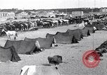 Image camp de cavalerie turque Turquie, 1915, de la seconde 10 séquences d'archives historiques vidéo 65675028064