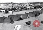 Image camp de cavalerie turque Turquie, 1915, de la seconde 12 séquences d'archives historiques vidéo 65675028064