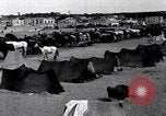 Image camp de cavalerie turque Turquie, 1915, de la seconde 13 séquences d'archives historiques vidéo 65675028064