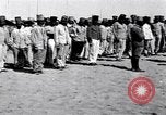 Image camp de cavalerie turque Turquie, 1915, de la seconde 19 séquences d'archives historiques vidéo 65675028064