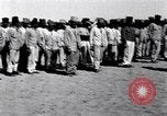 Image camp de cavalerie turque Turquie, 1915, de la seconde 23 séquences d'archives historiques vidéo 65675028064