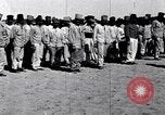 Image camp de cavalerie turque Turquie, 1915, de la seconde 24 séquences d'archives historiques vidéo 65675028064