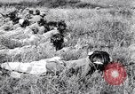Standbild Italienische Bersaglieri Italien, 1915, aus Sekunde 56 historischem Filmmaterial Videoclip 65675028066