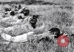 Standbild Italienische Bersaglieri Italien, 1915, aus Sekunde 61 historischem Filmmaterial Videoclip 65675028066
