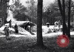 Image renforts militaires russes Dobrudja Roumanie, 1916, de la seconde 4 séquences d'archives historiques vidéo 65675028073