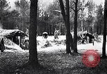 Image renforts militaires russes Dobrudja Roumanie, 1916, de la seconde 7 séquences d'archives historiques vidéo 65675028073