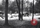 Image renforts militaires russes Dobrudja Roumanie, 1916, de la seconde 10 séquences d'archives historiques vidéo 65675028073