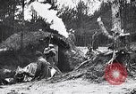 Image renforts militaires russes Dobrudja Roumanie, 1916, de la seconde 15 séquences d'archives historiques vidéo 65675028073