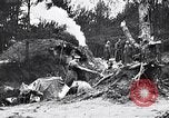 Image renforts militaires russes Dobrudja Roumanie, 1916, de la seconde 17 séquences d'archives historiques vidéo 65675028073