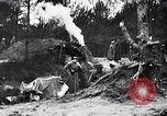 Image renforts militaires russes Dobrudja Roumanie, 1916, de la seconde 19 séquences d'archives historiques vidéo 65675028073