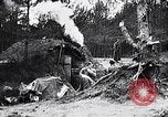 Image renforts militaires russes Dobrudja Roumanie, 1916, de la seconde 21 séquences d'archives historiques vidéo 65675028073