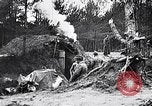Image renforts militaires russes Dobrudja Roumanie, 1916, de la seconde 22 séquences d'archives historiques vidéo 65675028073