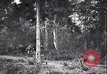 Image renforts militaires russes Dobrudja Roumanie, 1916, de la seconde 24 séquences d'archives historiques vidéo 65675028073