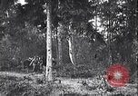 Image renforts militaires russes Dobrudja Roumanie, 1916, de la seconde 25 séquences d'archives historiques vidéo 65675028073