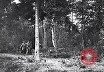 Image renforts militaires russes Dobrudja Roumanie, 1916, de la seconde 26 séquences d'archives historiques vidéo 65675028073