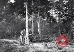 Image renforts militaires russes Dobrudja Roumanie, 1916, de la seconde 28 séquences d'archives historiques vidéo 65675028073