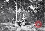Image renforts militaires russes Dobrudja Roumanie, 1916, de la seconde 31 séquences d'archives historiques vidéo 65675028073