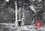 Image renforts militaires russes Dobrudja Roumanie, 1916, de la seconde 33 séquences d'archives historiques vidéo 65675028073