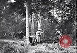 Image renforts militaires russes Dobrudja Roumanie, 1916, de la seconde 38 séquences d'archives historiques vidéo 65675028073