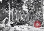 Image renforts militaires russes Dobrudja Roumanie, 1916, de la seconde 40 séquences d'archives historiques vidéo 65675028073