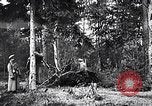 Image renforts militaires russes Dobrudja Roumanie, 1916, de la seconde 41 séquences d'archives historiques vidéo 65675028073