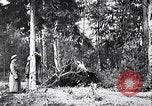 Image renforts militaires russes Dobrudja Roumanie, 1916, de la seconde 42 séquences d'archives historiques vidéo 65675028073