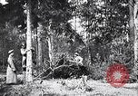 Image renforts militaires russes Dobrudja Roumanie, 1916, de la seconde 43 séquences d'archives historiques vidéo 65675028073
