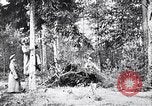 Image renforts militaires russes Dobrudja Roumanie, 1916, de la seconde 45 séquences d'archives historiques vidéo 65675028073